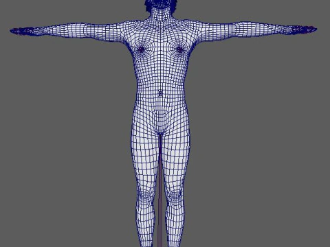 Somerhalder-Charakter 3D Modell