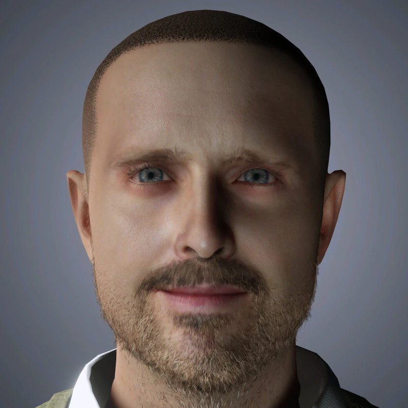 Aaron Paul Character 3D Model .c4d .max .obj .3ds .fbx .stl .blend 