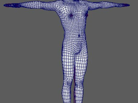 Aaron Paul Character 3D Model