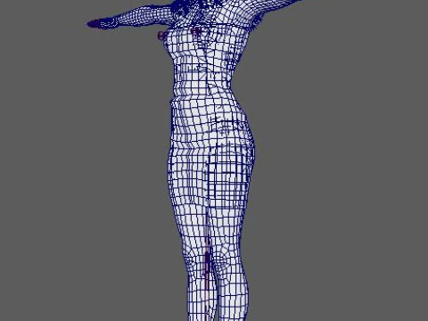 Sophie Turner Character 3D Model