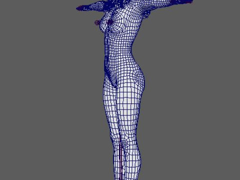 Sophie Turner Character 3D Model