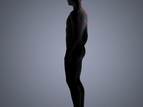 Spider-Man Character 3D-Modell