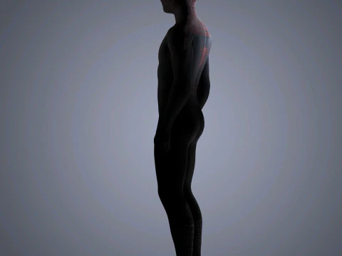 Spider-Man Character 3D Model