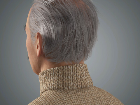 Cartoon Old Male Character Ready for Game and Animation 3D Model