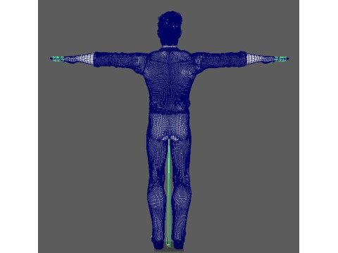 Cartoon Male Character Ready for Game and Animation 3D Model