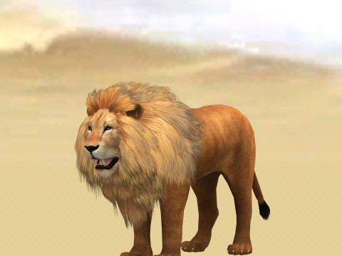Male Lion Ready for Game and Animation Modello 3D