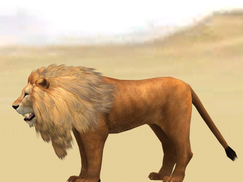 Male Lion Ready for Game and Animation Modello 3D