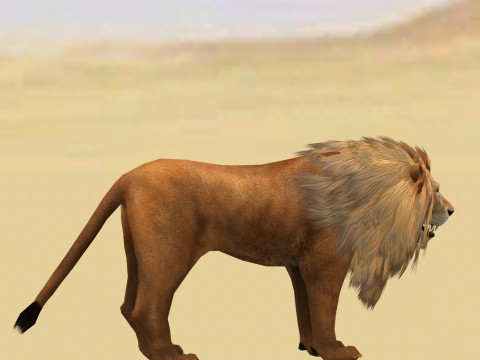 Male Lion Ready for Game and Animation Modello 3D