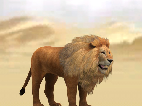 Male Lion Ready for Game and Animation Modello 3D