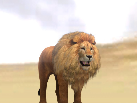 Male Lion Ready for Game and Animation Modello 3D