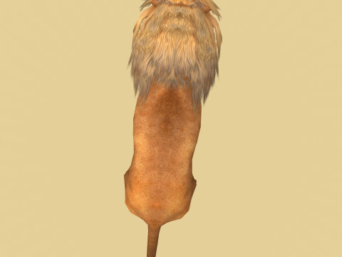 Male Lion Ready for Game and Animation Modello 3D