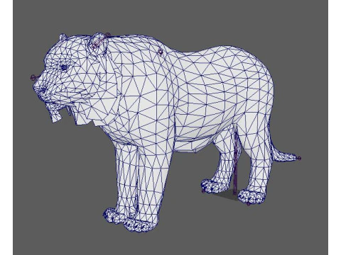 Tiger Ready for Game and Animation 3D Model