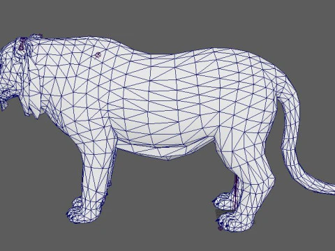 Tiger Ready for Game and Animation 3D Model