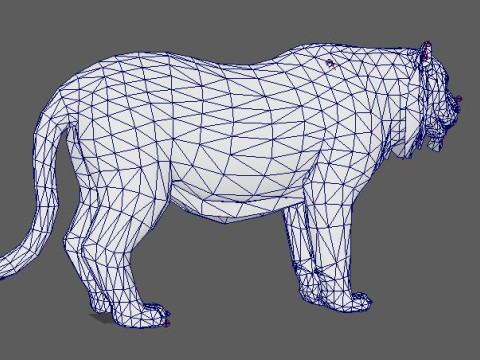 Tiger Ready for Game and Animation 3D Модель