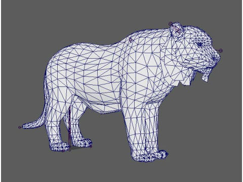 Tiger Ready for Game and Animation 3D Model
