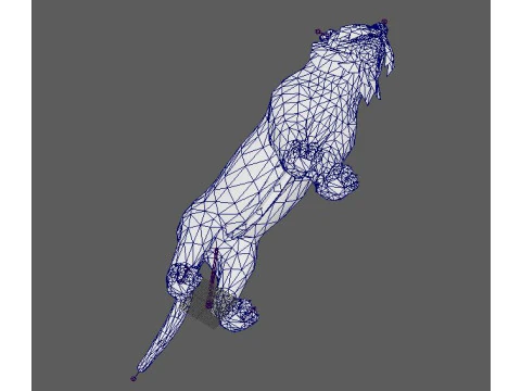 Tiger Ready for Game and Animation 3D Model