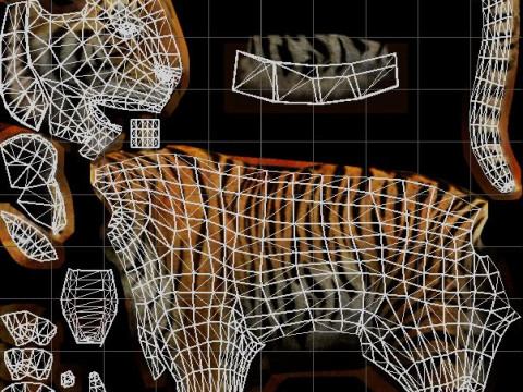 Tiger Ready for Game and Animation 3D Модель