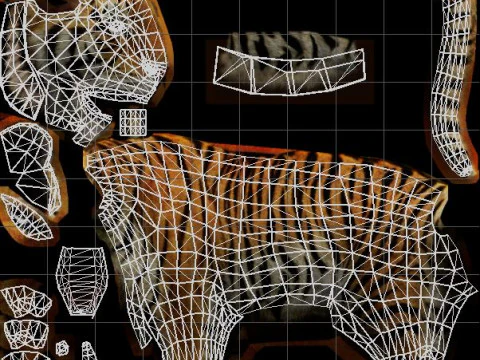 Tiger Ready for Game and Animation 3D Model