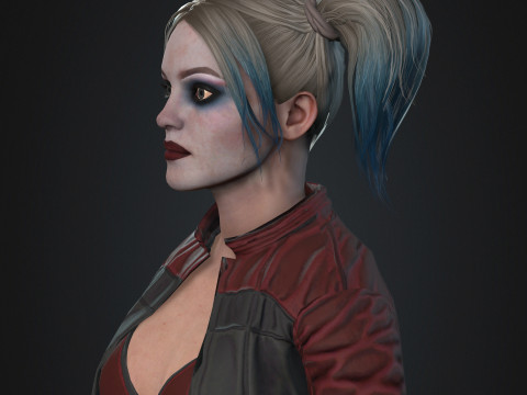 Harley Quinn Character 3D Model