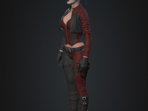 Harley Quinn Character 3D Model