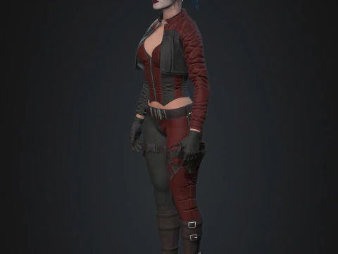 Harley Quinn Character 3D Model