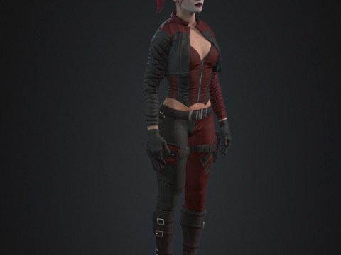 Harley Quinn Character 3D Model