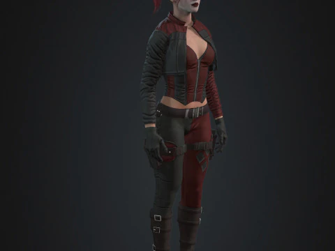 Harley Quinn Character 3D Model