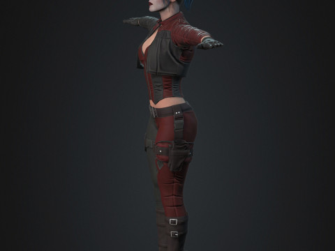 Harley Quinn Character 3D Model