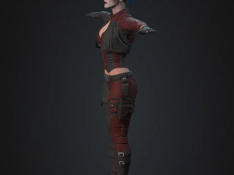 Harley Quinn Character 3D Model