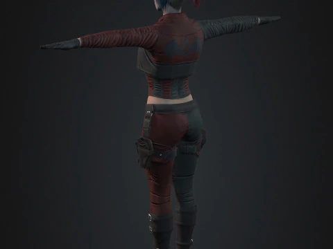 Harley Quinn Character 3D Model
