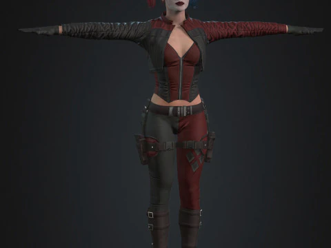 Harley Quinn Character 3D Model
