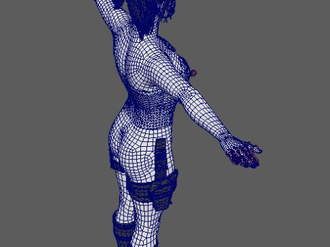 Harley Quinn Character 3D Model