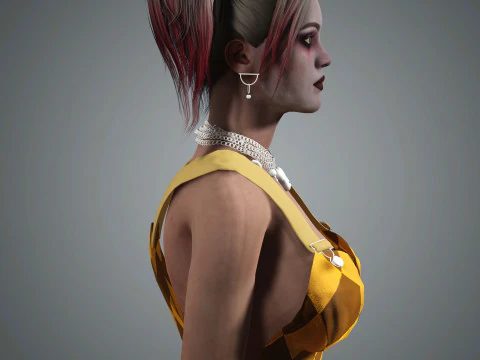 Harley Quinn Character 3D Model