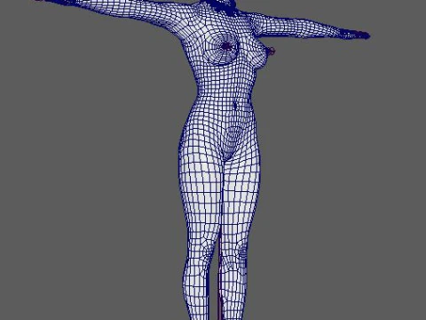 Harley Quinn Character 3D Model
