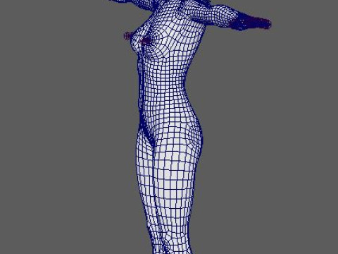 Harley Quinn Character 3D 모델