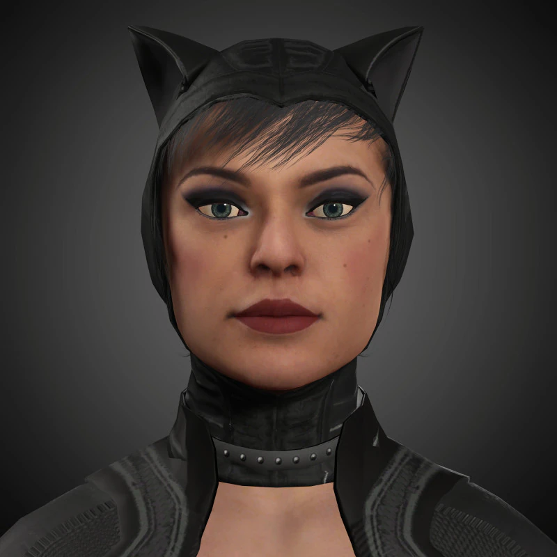 Catwoman Character 3D Model .c4d .max .obj .3ds .fbx .stl .blend 