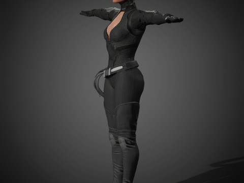 Catwoman Character Modello 3D