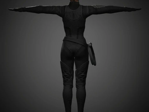 Catwoman Character 3D Model