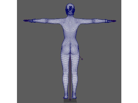Catwoman Character Modello 3D