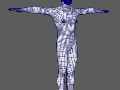 Nathan Drake Character 3D Model