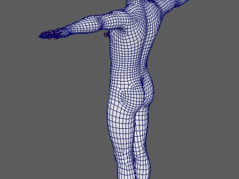 Dante Character 3D Model