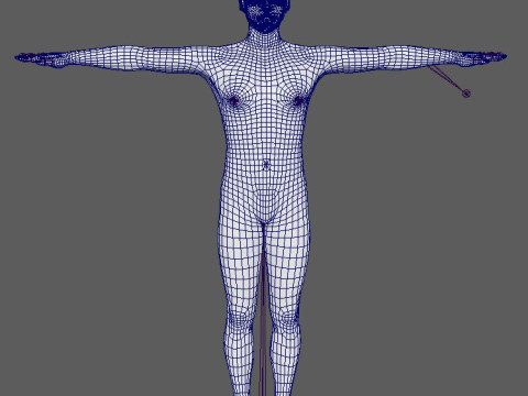 Captain America Character 3D Модель