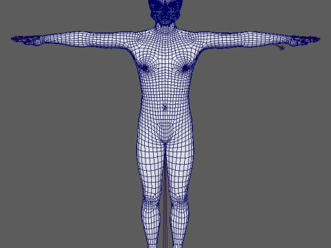 Captain America Character Modelo 3D