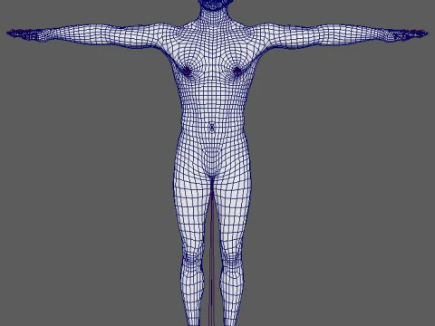 Bruce Lee Character 3D Model