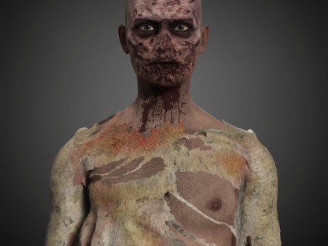Zombie Character 3D Model
