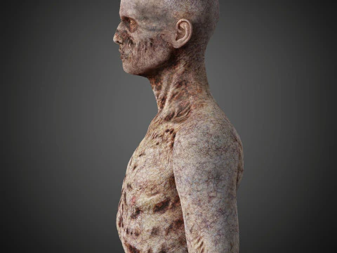Zombie Character 3D Model