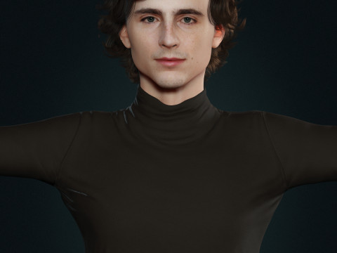Timothee-Chalamet low-poly 3D 모델