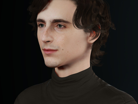 Timothee-Chalamet low-poly 3D 모델