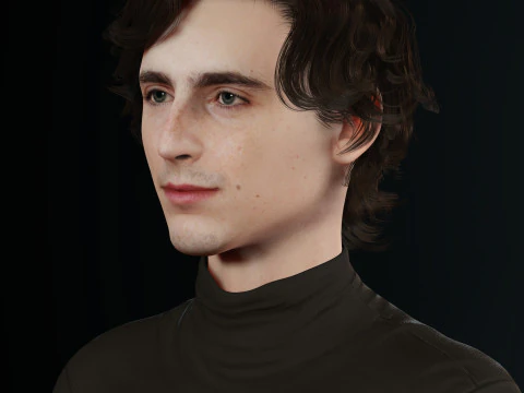 Timothee-Chalamet low-poly 3D Model