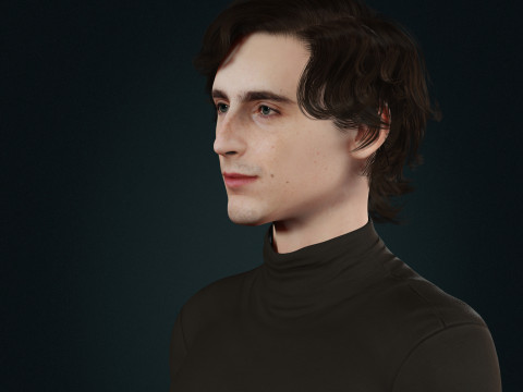 Timothee-Chalamet low-poly 3D 모델